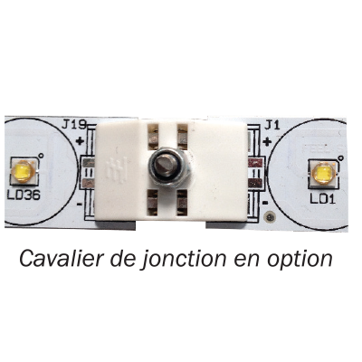 OEM-09-04C-cavaliers