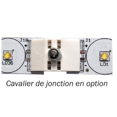 OEM-13-06A-cavaliers
